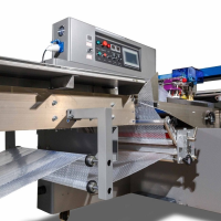 Автоматическая горизонтальная упаковочная машина DXDZ-600XD под ВПП